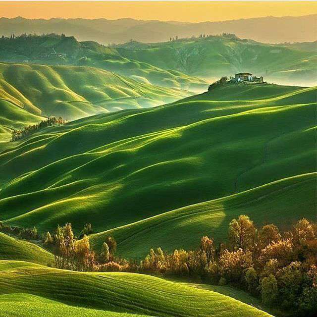 تپه های سبز